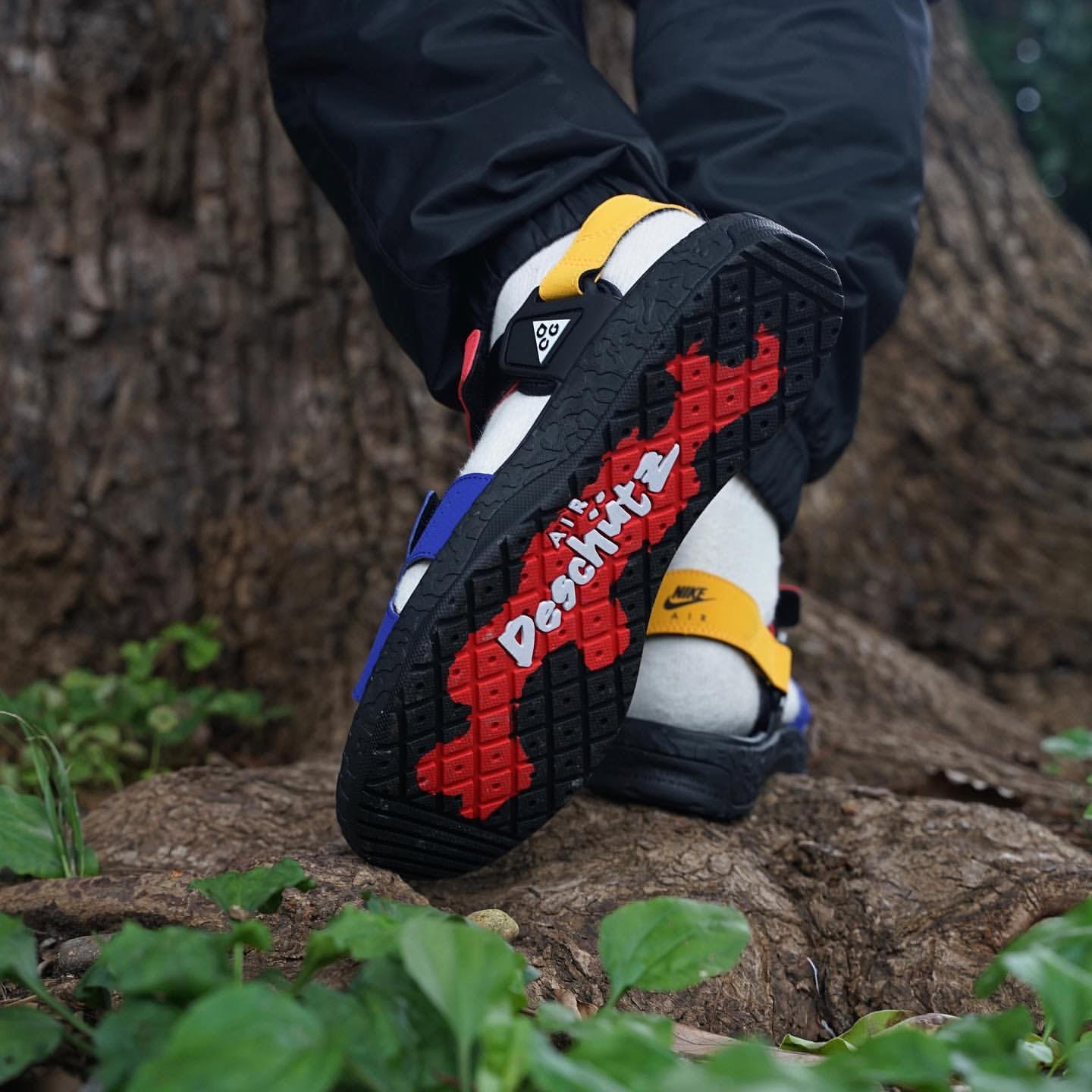 nike air acg deschutz