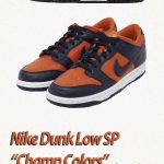 Nike Dunk Low SP “Camp Colors” (ナイキ ダンク ロー SP “チャンプ カラーズ”) CU1727-800