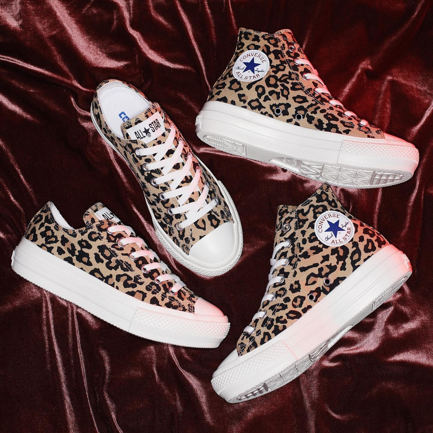 all star light plts leopard ox