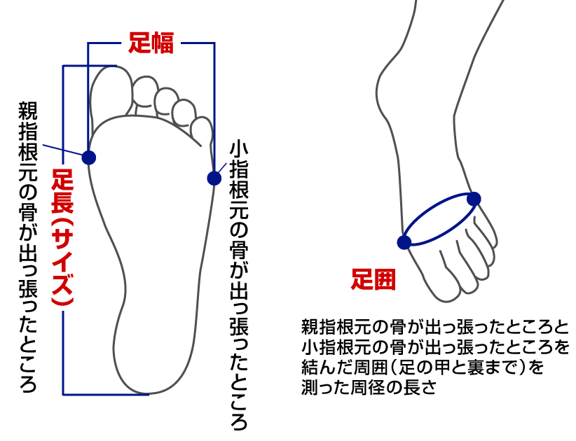 日本人の足に合うフィット性 about_mizuno_footbase