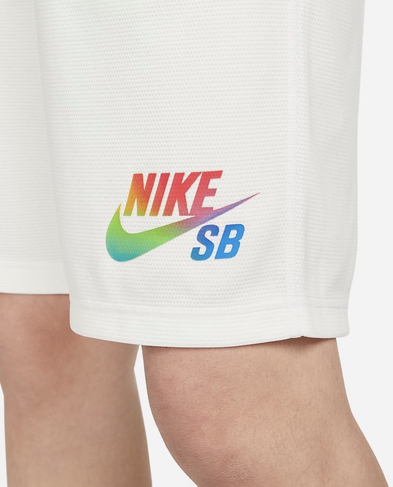 ナイキ SB ダンク ロー ビー トゥルー Nike-SB-Dunk-Low-Be-True-DR4876-100-official-matching-shorts-6
