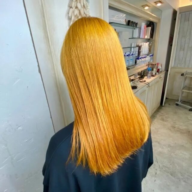 stylist_gouda