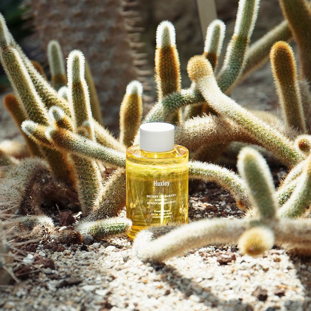 韓国スキンケアブランド【Huxley(ハクスリー)】韓国女子にも人気！“サボテンオイル”を主成分にした上質で洗練されたアイテムを一挙紹介