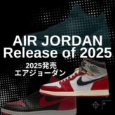 air jordan 2025