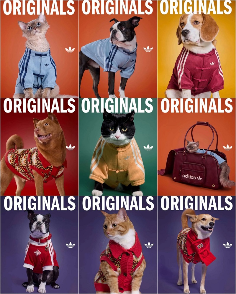 adidas Originals Pet Collection