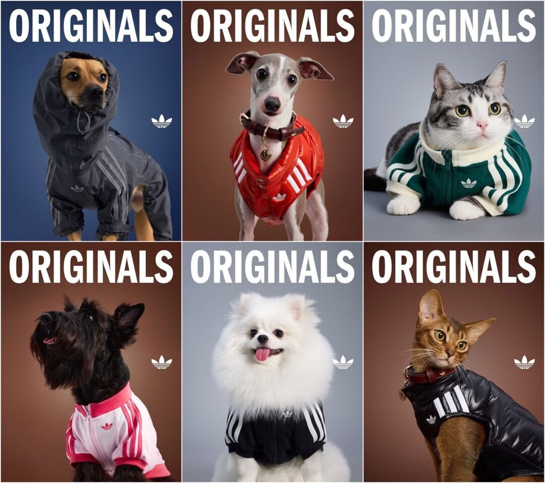 adidas Originals Pet Collection
