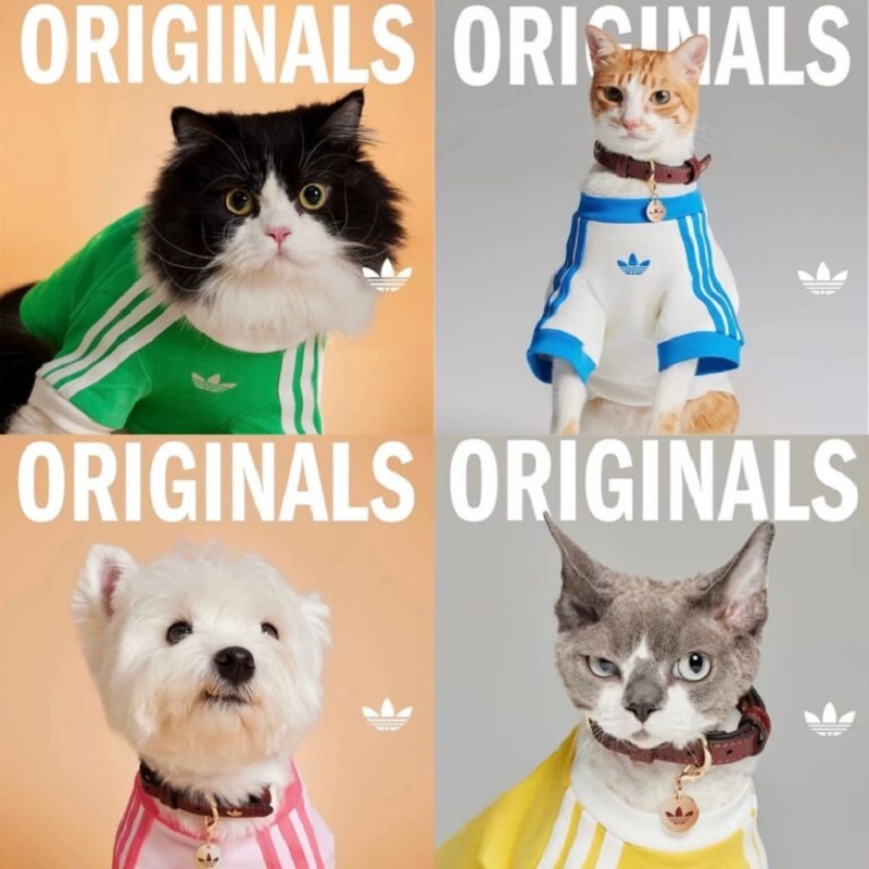 adidas Originals Pet Collection
