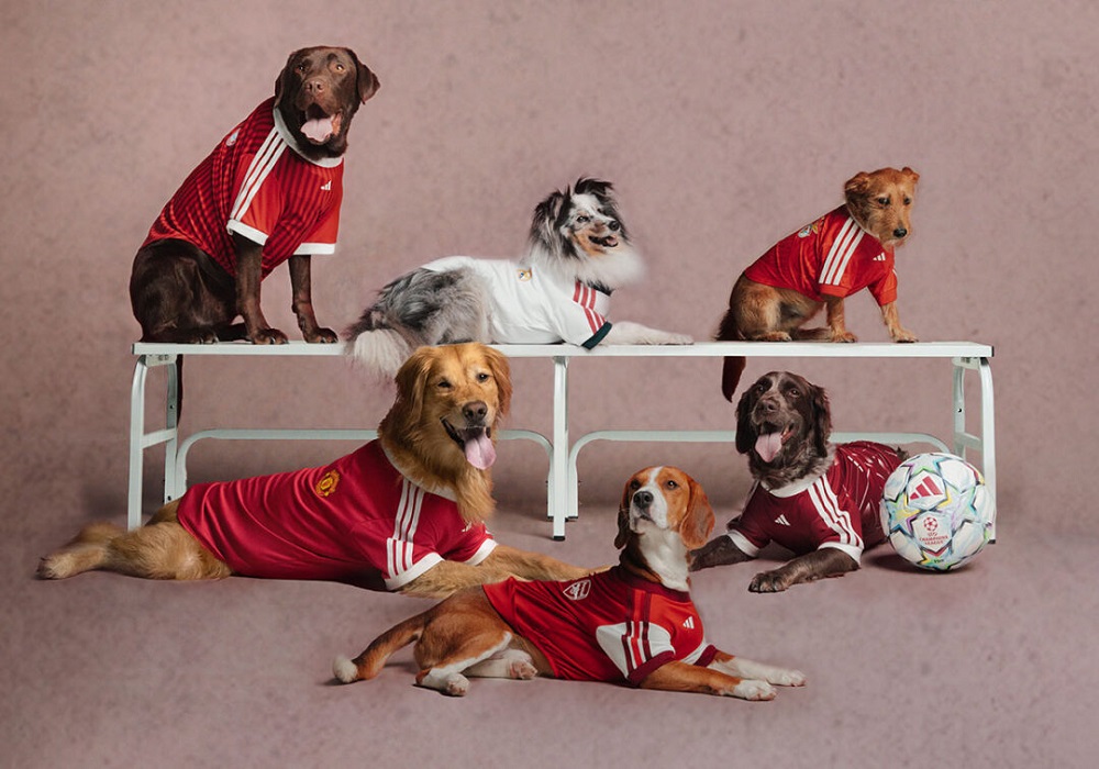 adidas Originals “Pet Soccer Club Football
