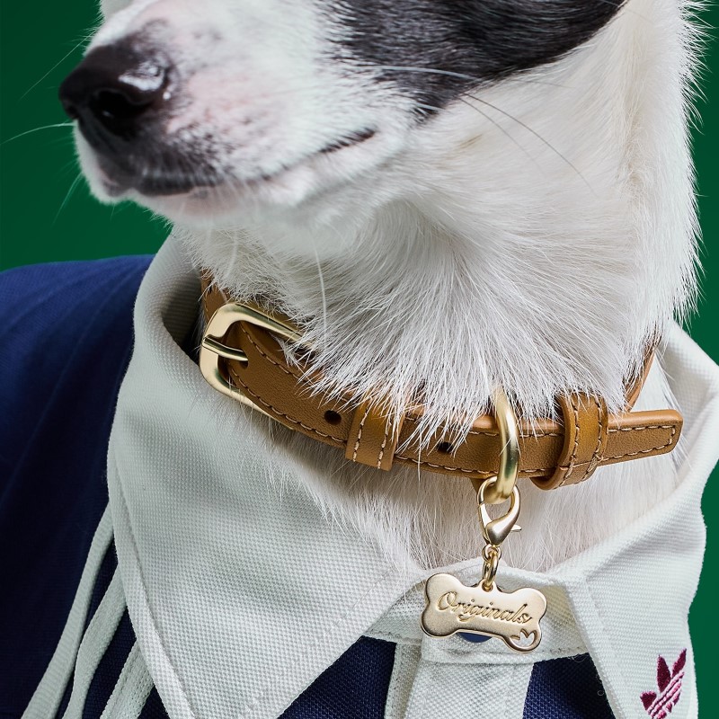 adidas-PET PET GFX COLLAR
