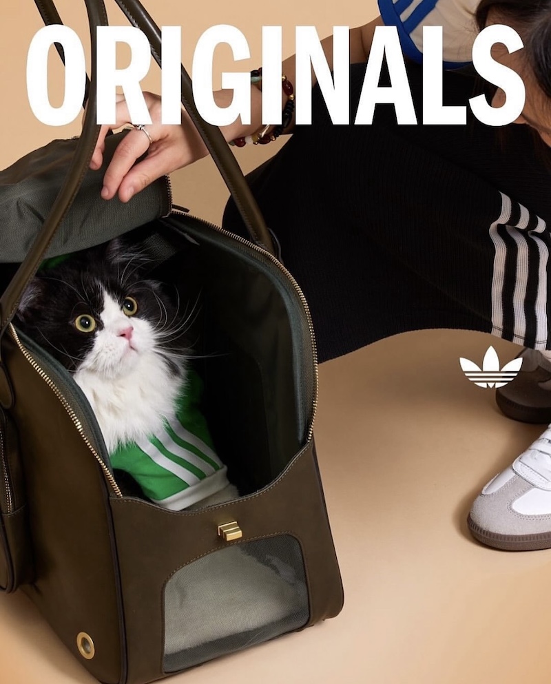 可愛い過ぎる！adidas Originals (アディダス オリジナルス) がペット用アパレル＆アクセサリーを発売！