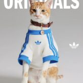 adidas-originals-pet-apparel-16