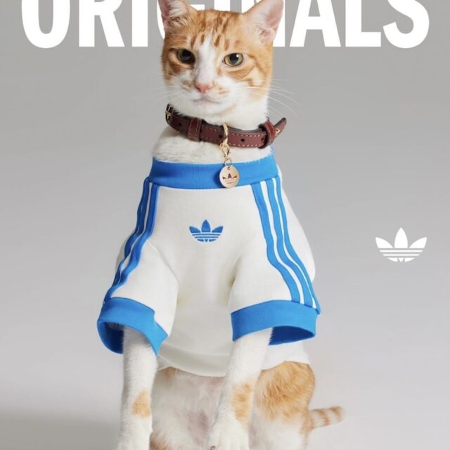 可愛い過ぎる！adidas Originals (アディダス オリジナルス) がペット用アパレル＆アクセサリーを発売！