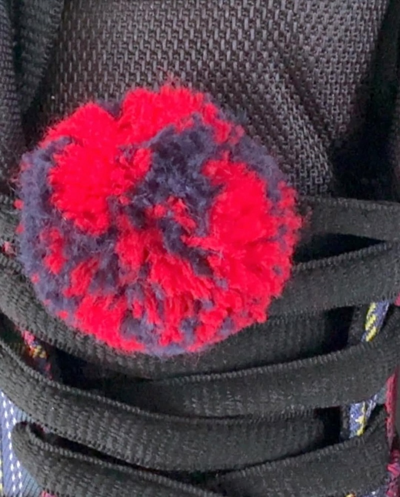 The Nardwuar x Nike SB Dunk Low