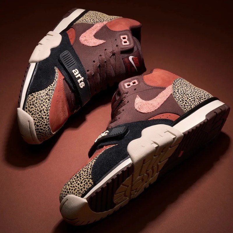 Arts-Rec x Nike SB Dunk Low & Nike SB Air Trainer 1