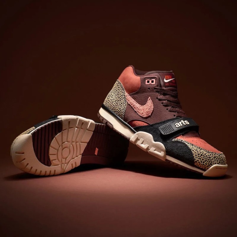 Arts-Rec x Nike SB Dunk Low & Nike SB Air Trainer 1