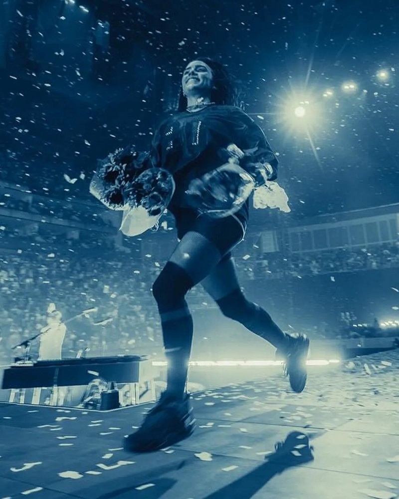 Billie Eilish x Air Jordan 4