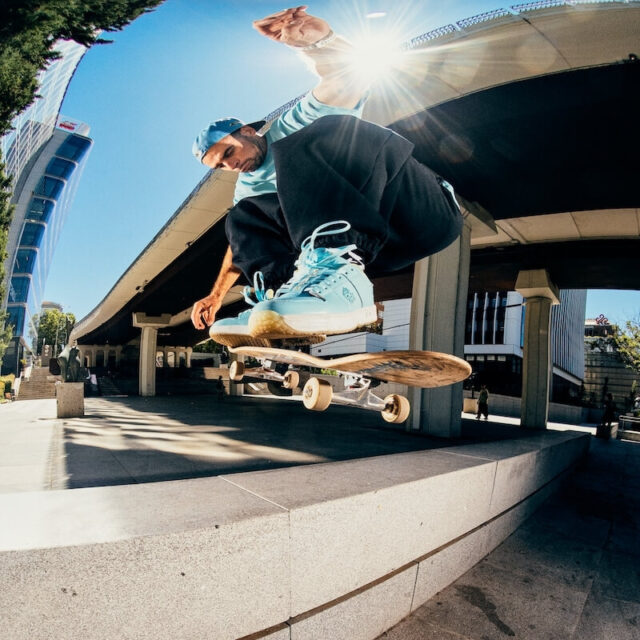 GRIMEY × DC Shoes 「THE SWARM」