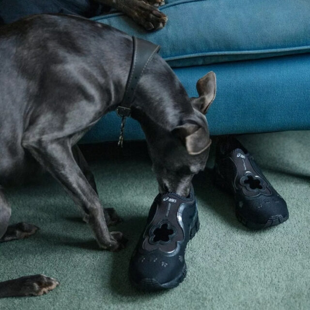 Cecilie Bahnsen x ASICS GEL-QUANTUM 360 I