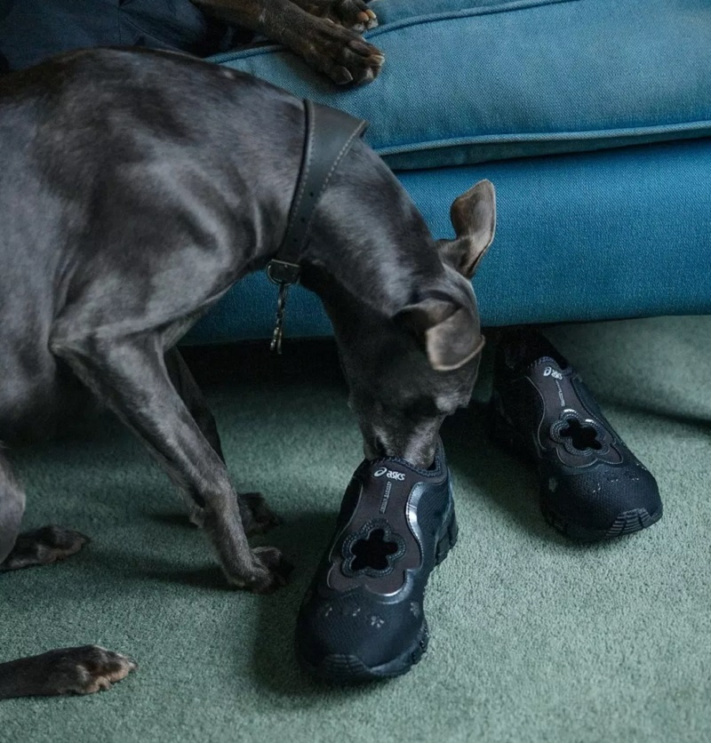 Cecilie Bahnsen x ASICS GEL-QUANTUM 360 I