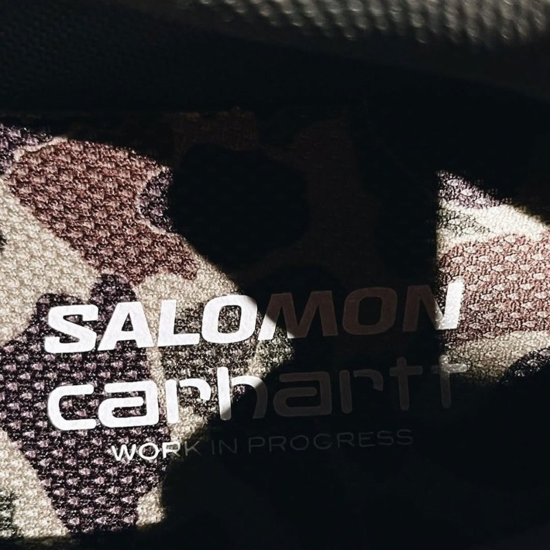 Carhartt WIP x Salomon X-ALP