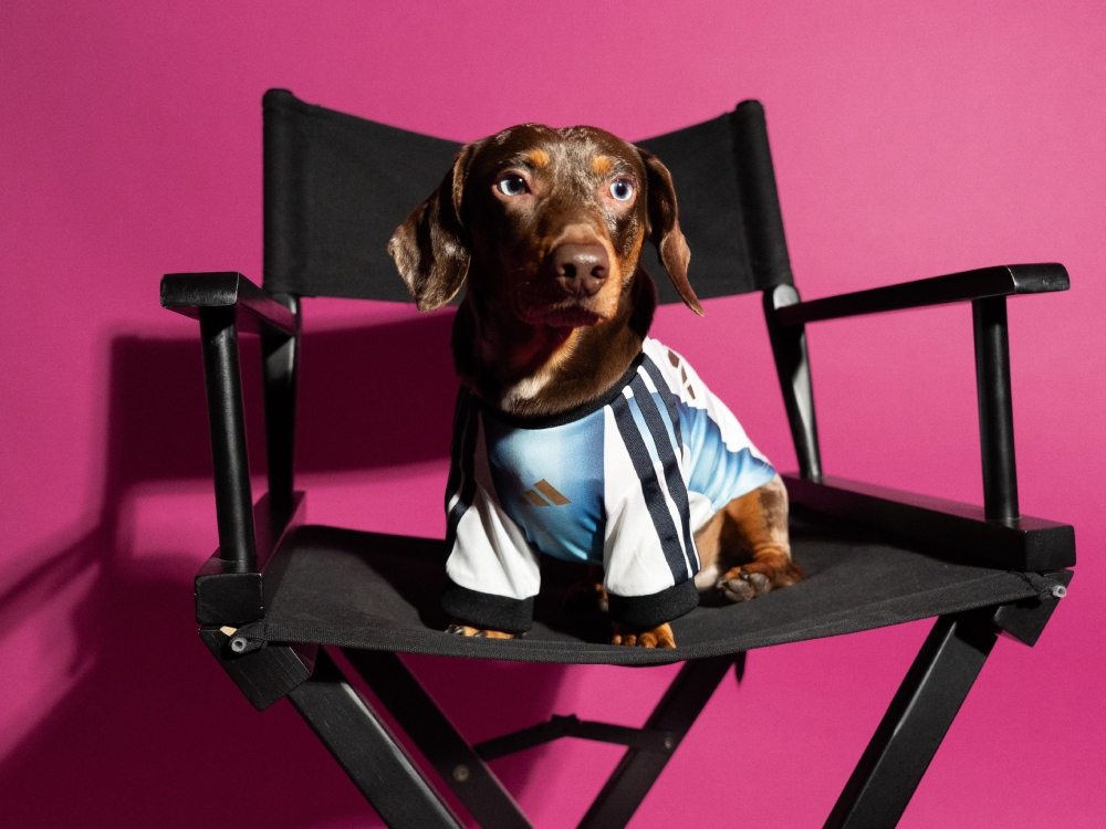 adidasペット用アイテム最新作「2026年W杯モデル」