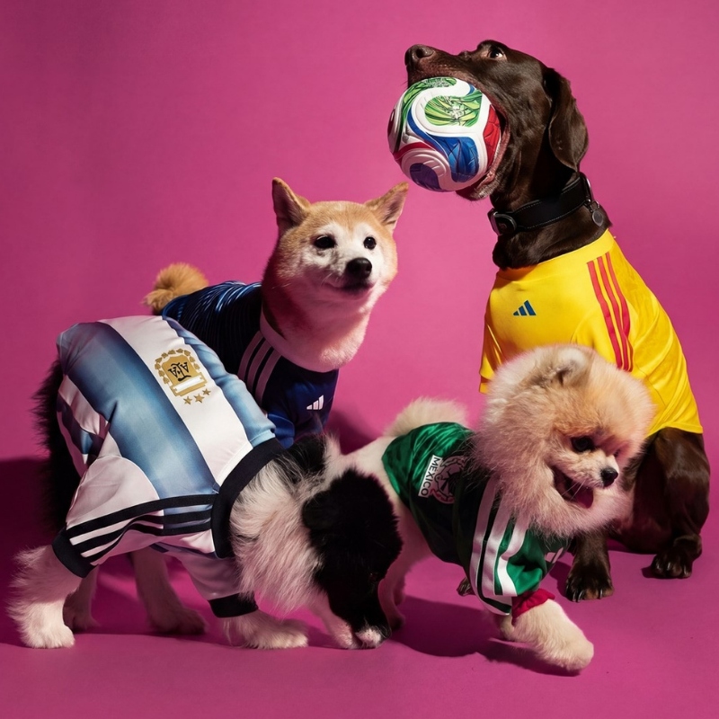 日本発売！adidasペット用アイテム最新作「2026年W杯モデル」のペット用ユニフォームが登場