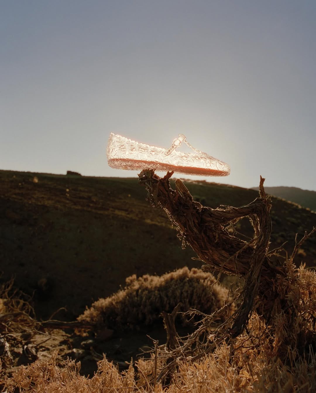 melissa x Susan Fang Collection