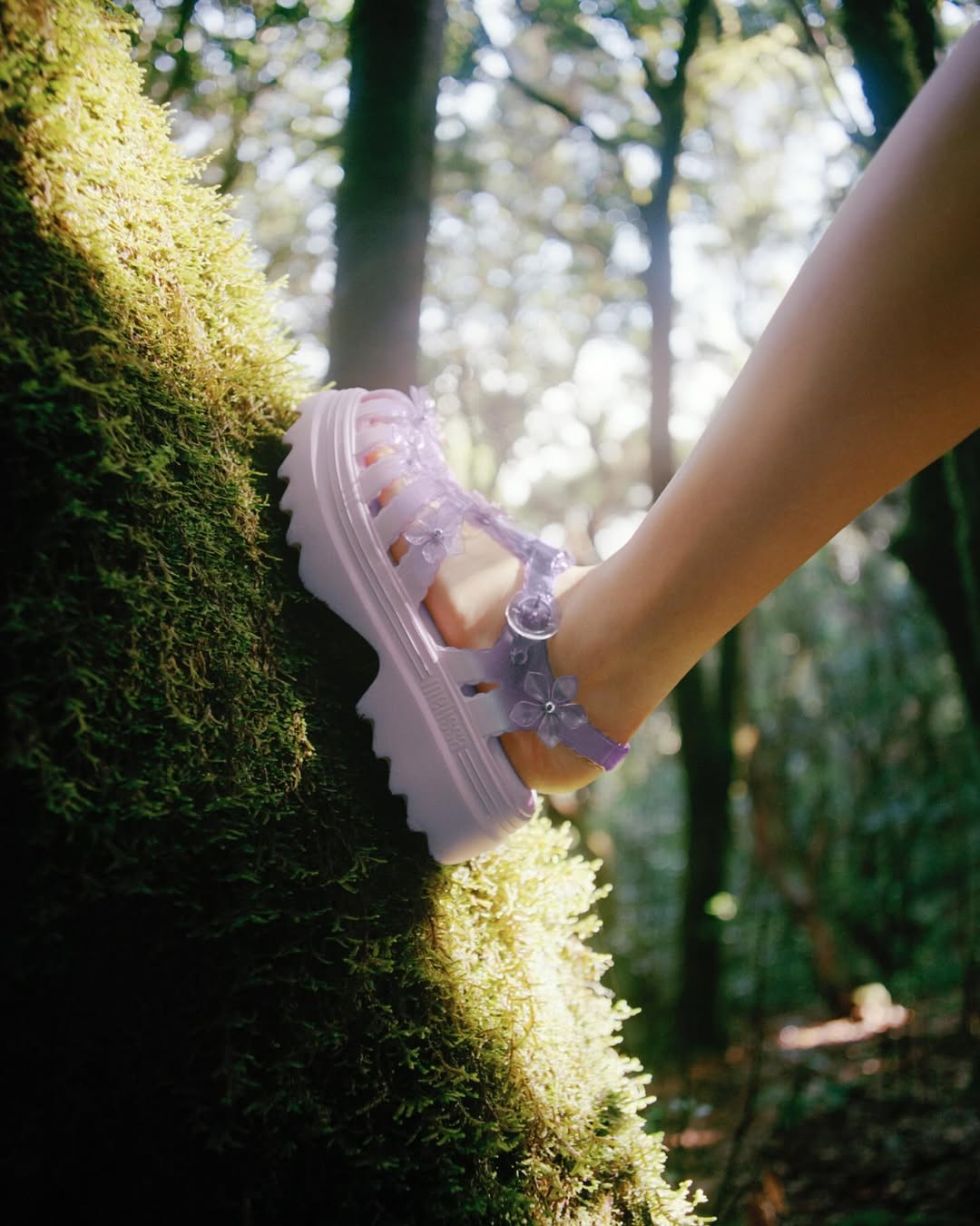 melissa x Susan Fang Collection