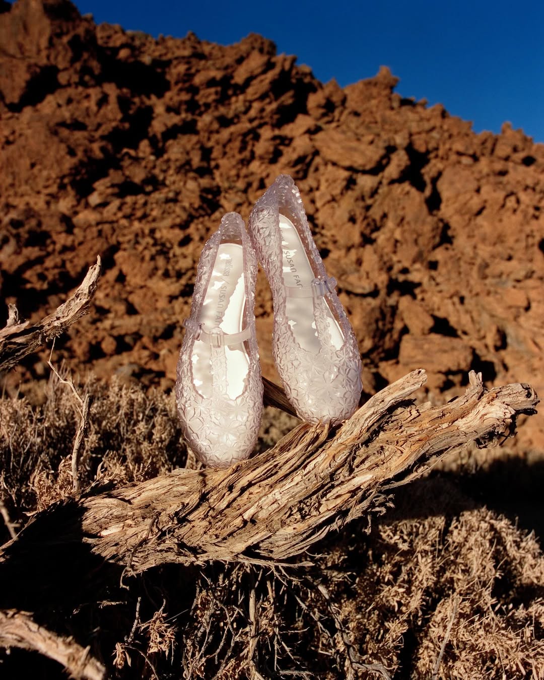 melissa x Susan Fang Collection